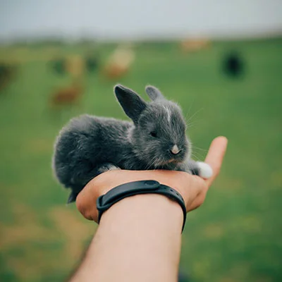 K2路由器与V2Ray的兼容困境：深度解析与完美解决方案