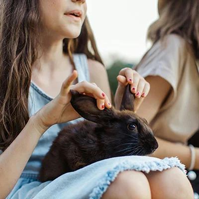 科学上网 | 1月15日21.8M/S|免费V2ray节点/Clash节点/Shadowrocket节点/Singbox节点/SSR节点节点推荐，在线Clash机场梯子购买推荐