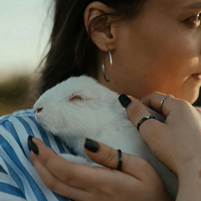 华硕梅林路由器Clash插件全攻略：从安装到高阶配置指南